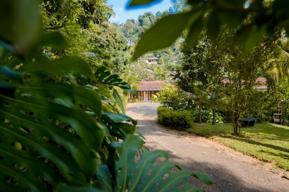 Clove Garden Kandy Eksteriør bilde