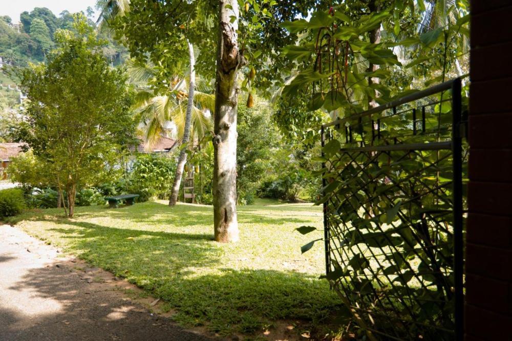 Clove Garden Kandy Eksteriør bilde